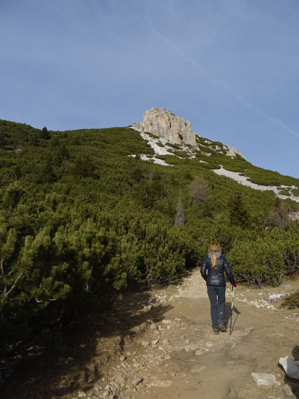 Corno Bianco (Weisshorn)  m.2317 ....dal Passo Oclini